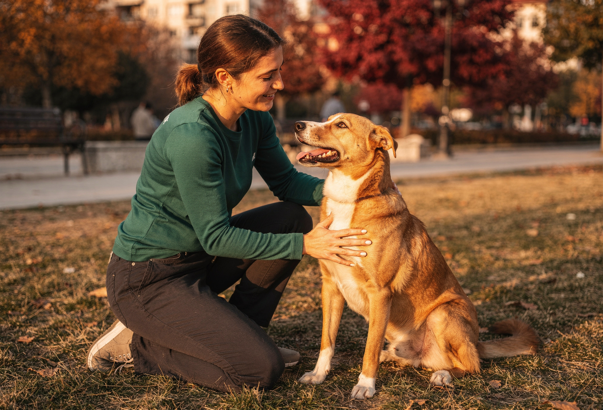 Eskişehir parkında köpeğin omzuna elini koyan kadın eğitmen